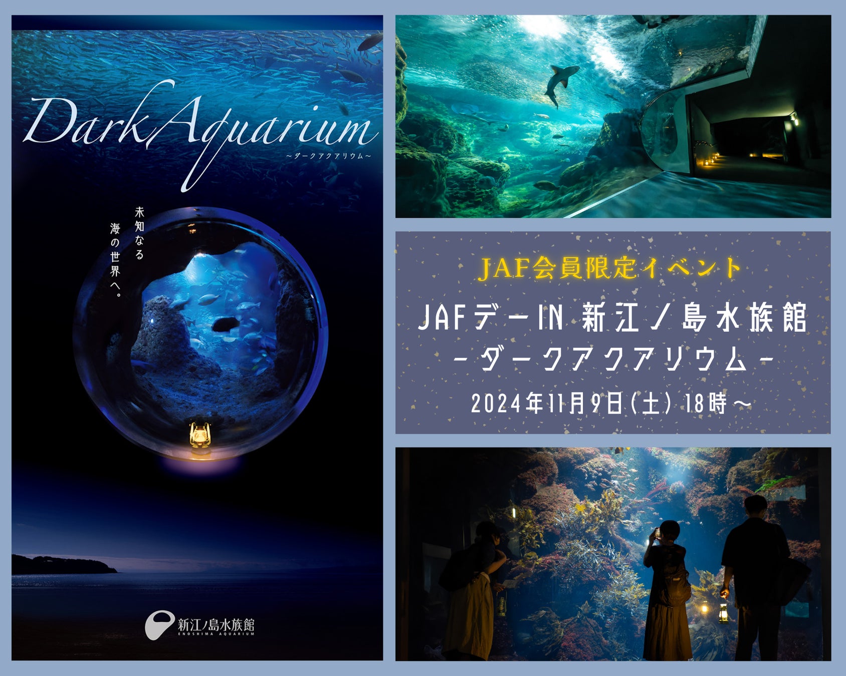 【JAF神奈川】「JAFデーin新江ノ島水族館　DarkAquarium －ダークアクアリウム－」を開催します