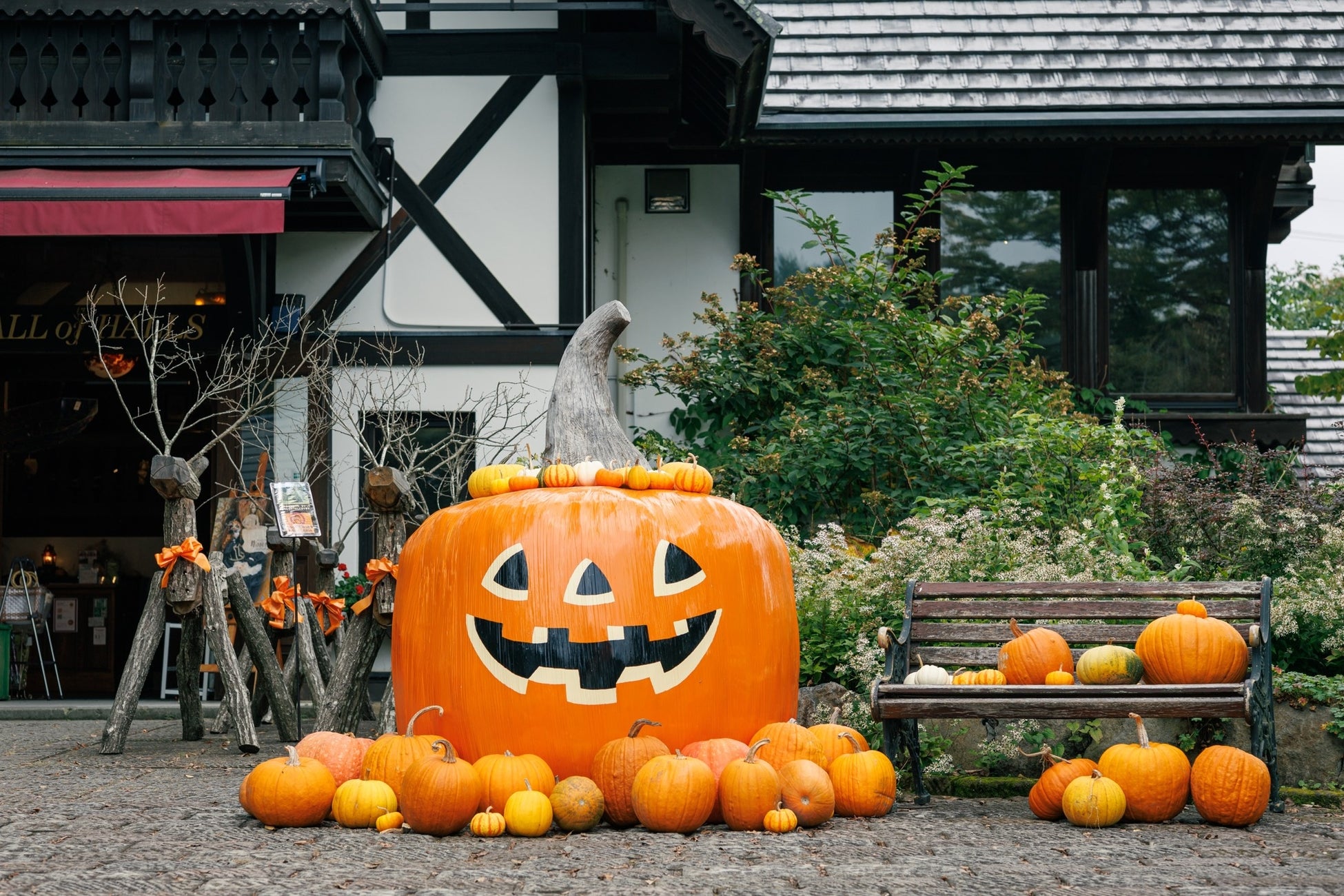 【山梨・萌木の村】「萌木の村ハロウィンマンス2024」（10月1日～31日）開催！