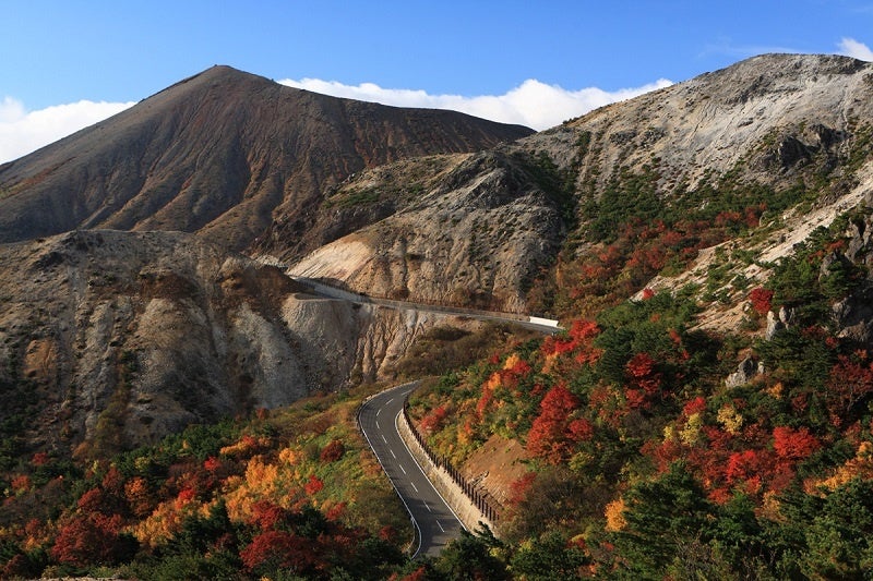 福島県の裏磐梯周辺では紅葉が続々と見頃を迎えています！　キノコや里芋など秋の味覚も出そろい、沿道の直売所も賑やかに！休暇村裏磐梯では『秋のきのこ料理 会津ならではビュッフェ』宿泊プランがスタート！