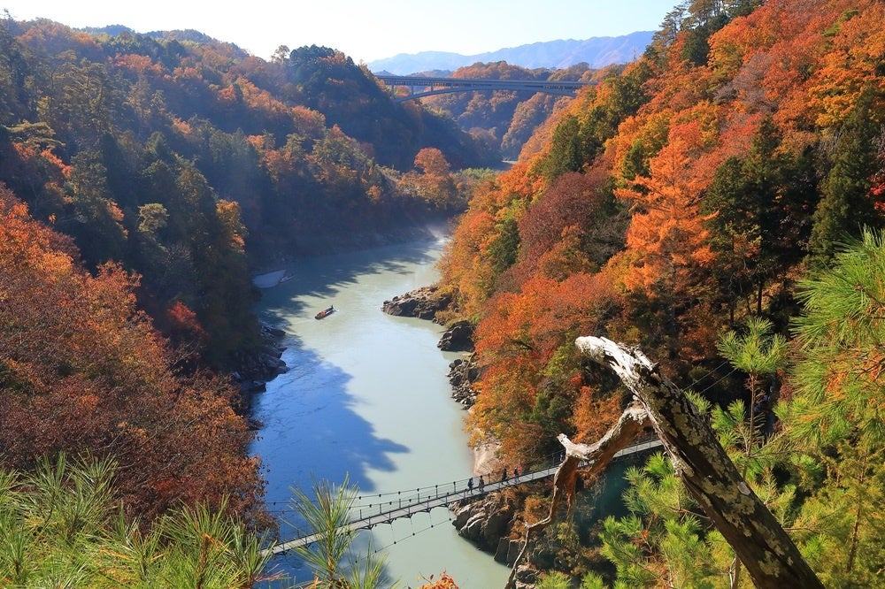 【日本一の星空】長野県阿智村　錦秋の南信州を満喫するモニターツアーに企画協力