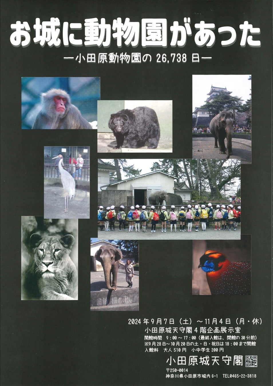 【神奈川県小田原市】令和6年度小田原城天守閣特別展「お城に動物園があったー小田原動物園の26,738日」