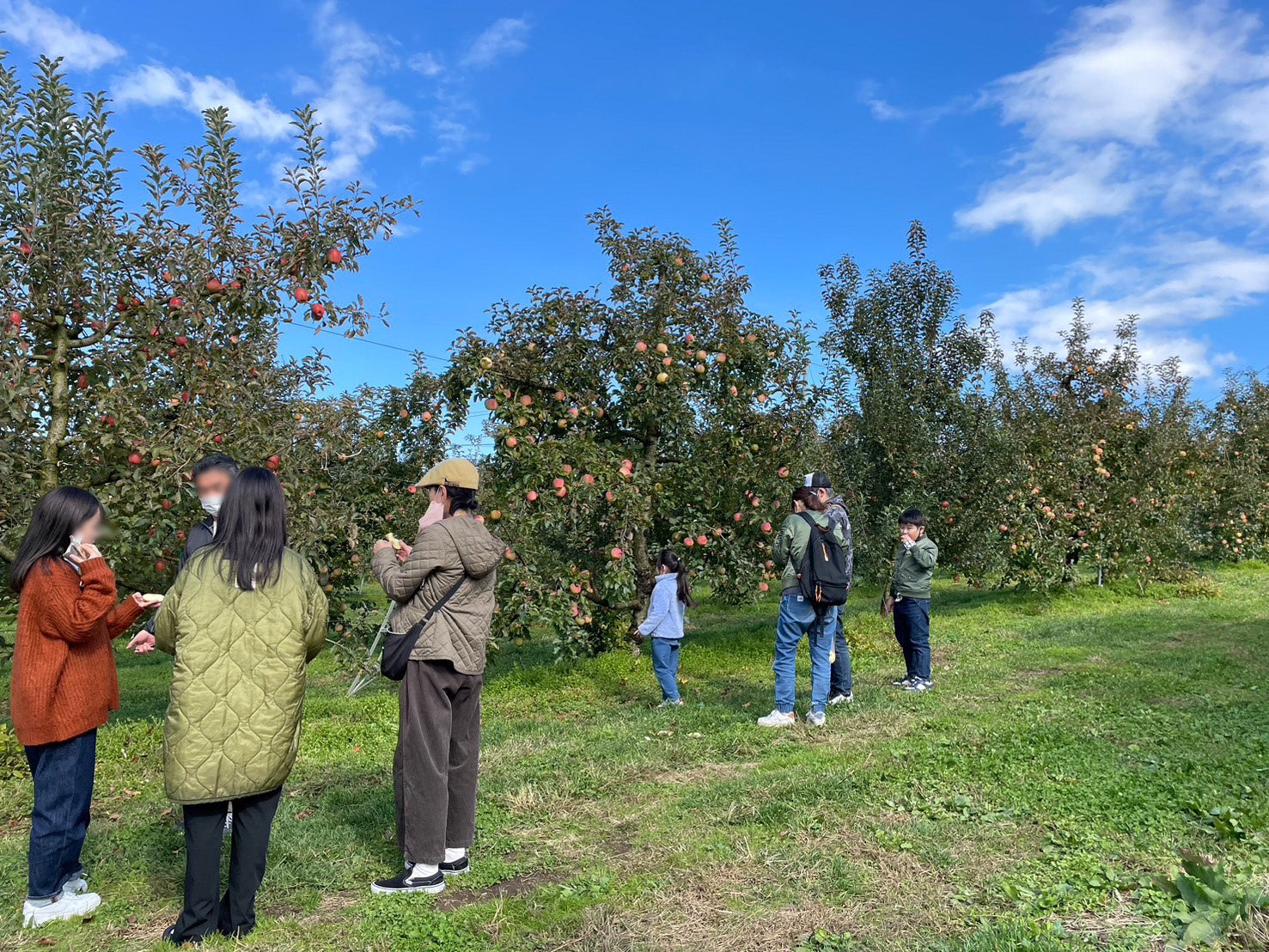 里山の魅力を次世代に伝える「栃木 秋の里山満喫体験」を10月13日に開催