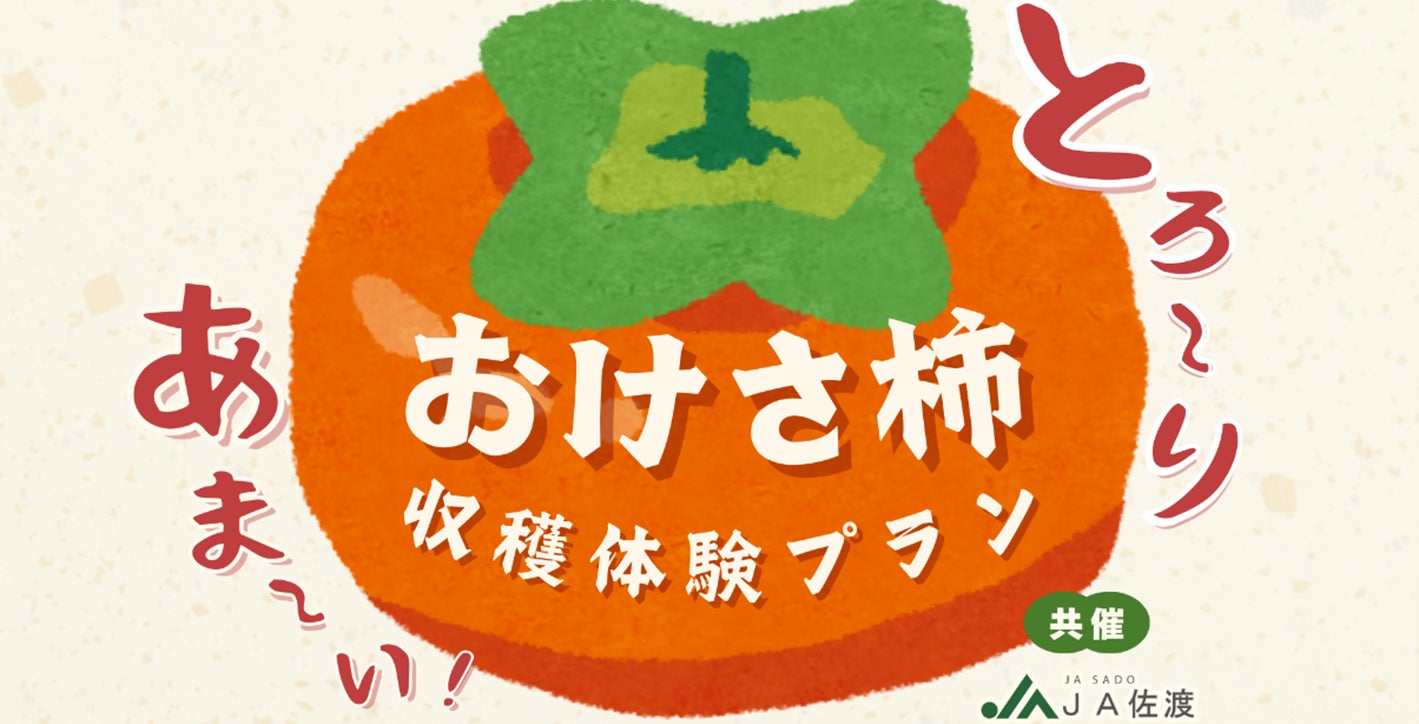 “まるは”の柿をどっさり収穫！JA佐渡と連携した「おけさ柿　収穫体験プラン」発売