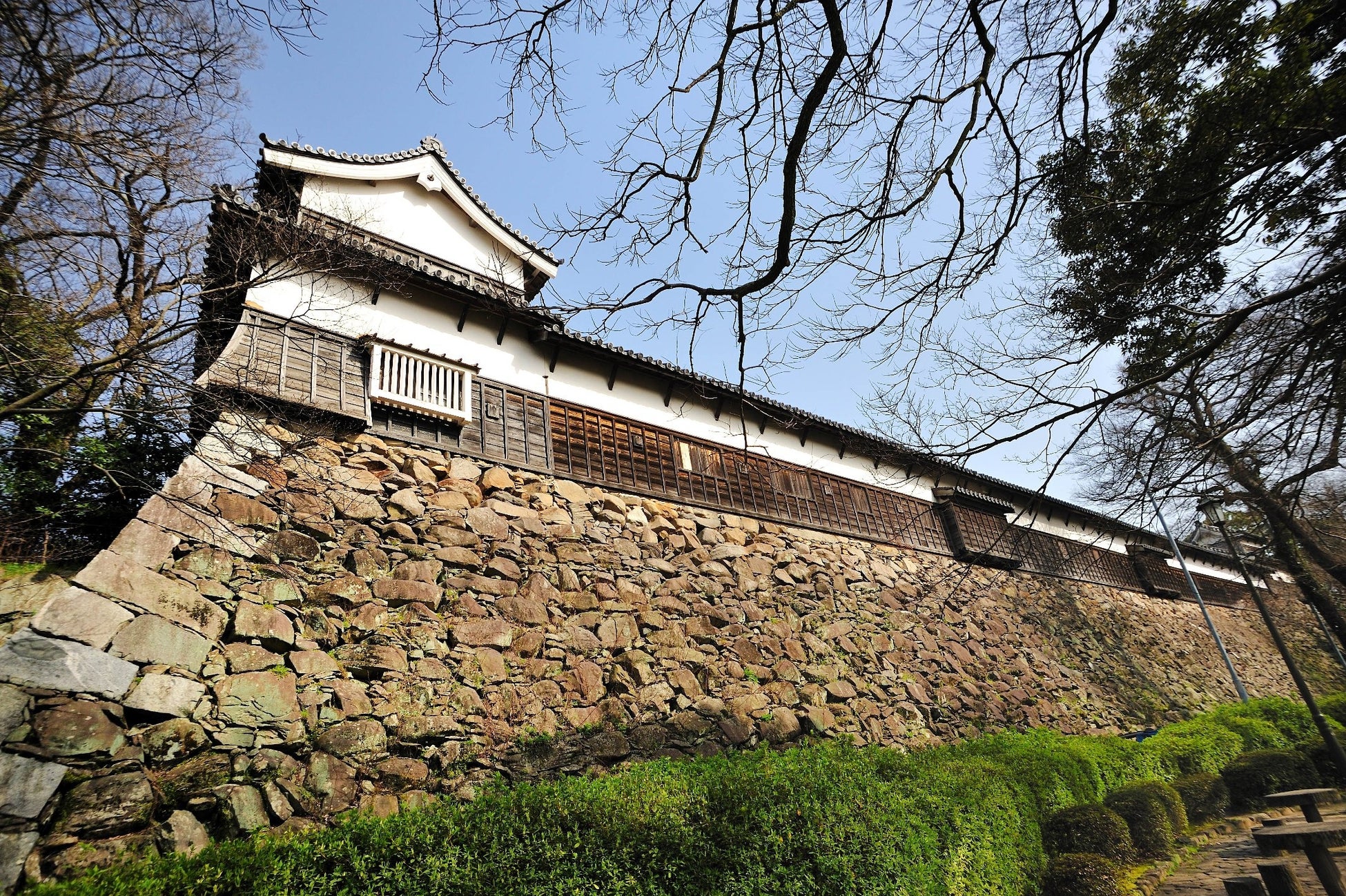 国宝・瑞巌寺と紅葉の美をネイキッドの光のアートで体感する秋の夜間参拝