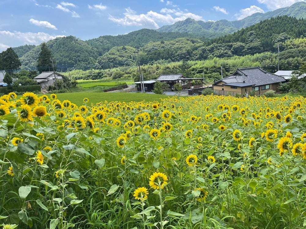 【RVパークで車中泊！】のどかで懐かしい風景が広がる「天下野2区RVパーク捨吉」などオープン！車中泊の旅をより快適にする“RVパーク” 5施設が新規認定！