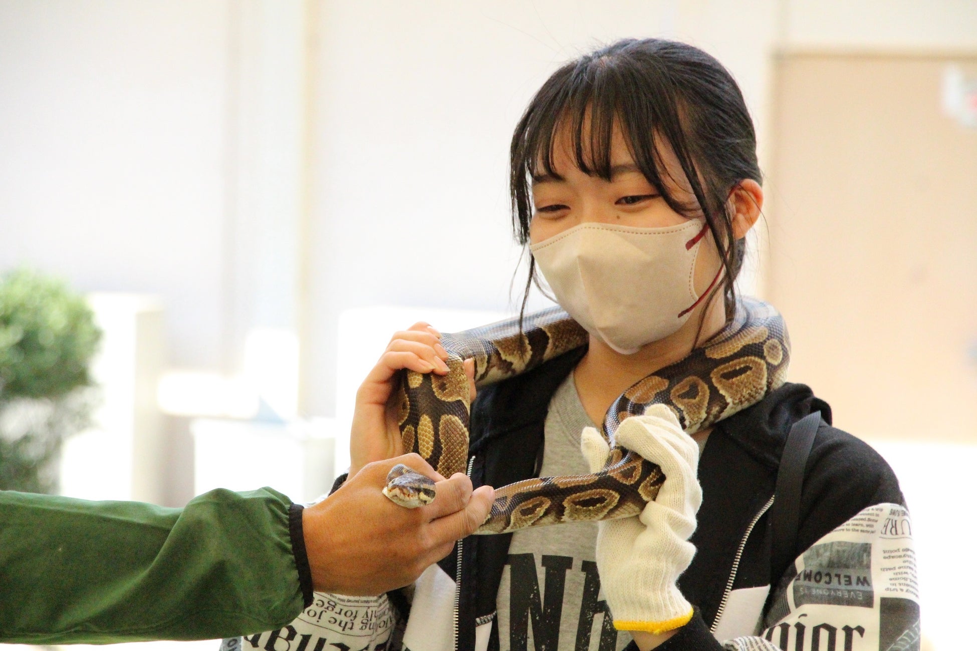 【軽井沢 浅間プリンスホテル】紅葉や浅間山の初冠雪を望む絶景温泉でのサ活と絶景レストランでのヌン活をセットにした軽井沢の四季を感じる「温泉＆アフタヌーンティー」プランを販売