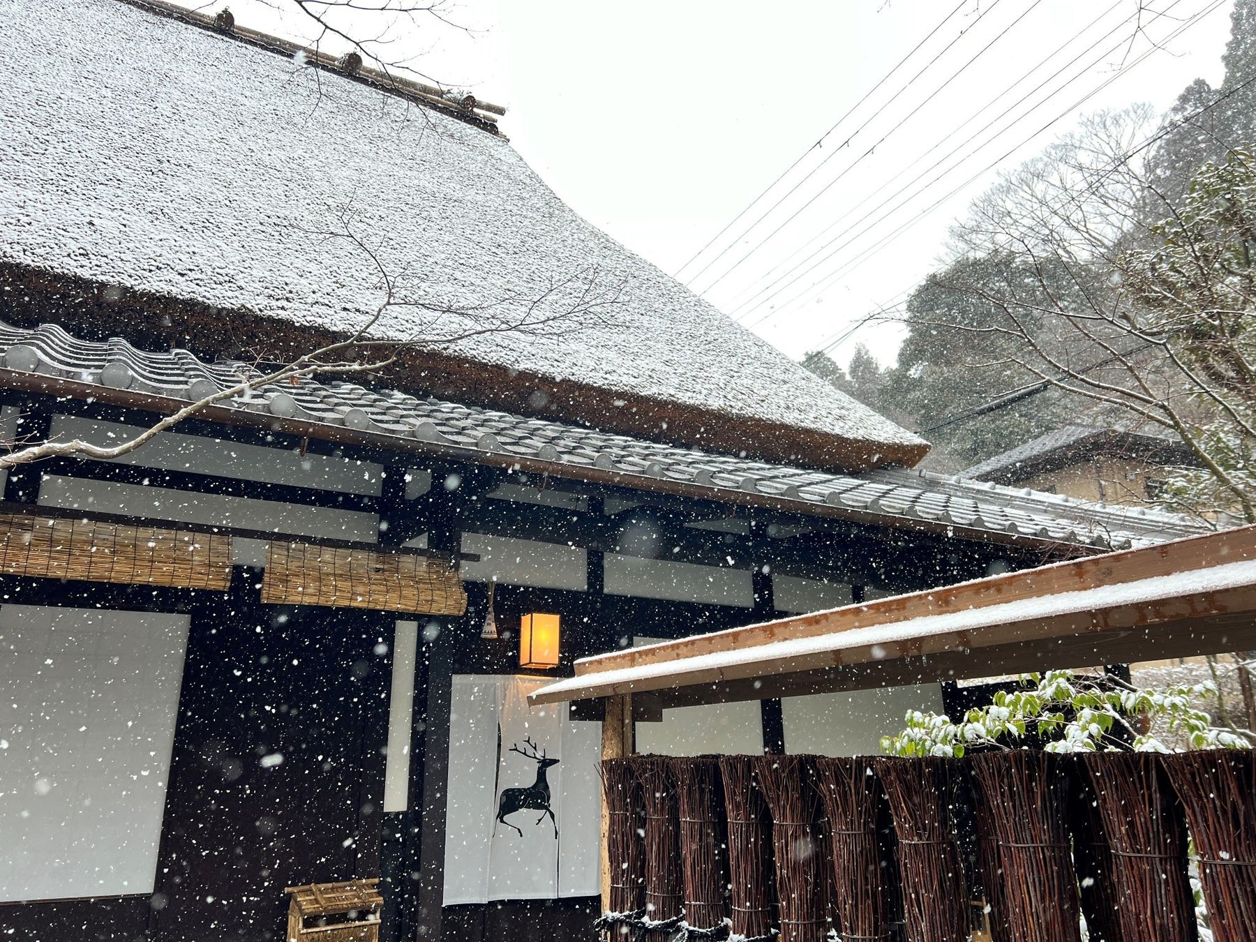 【豪雨被災地域観光需要回復送客促進事業】観光バス、観光タクシー、レンタカーを利用して、第37回やつしろ全国花火競技大会や八代妙見祭を楽しもう！