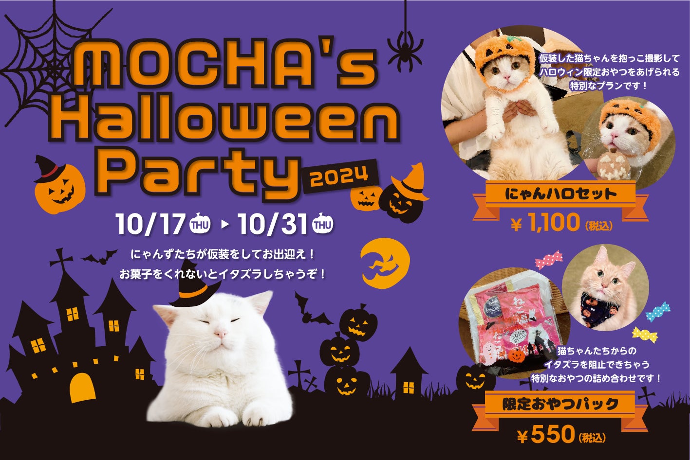 猫カフェMOCHAがお届けするハロウィンだけの特別な世界！『MOCHA’s Halloween Party 2024』