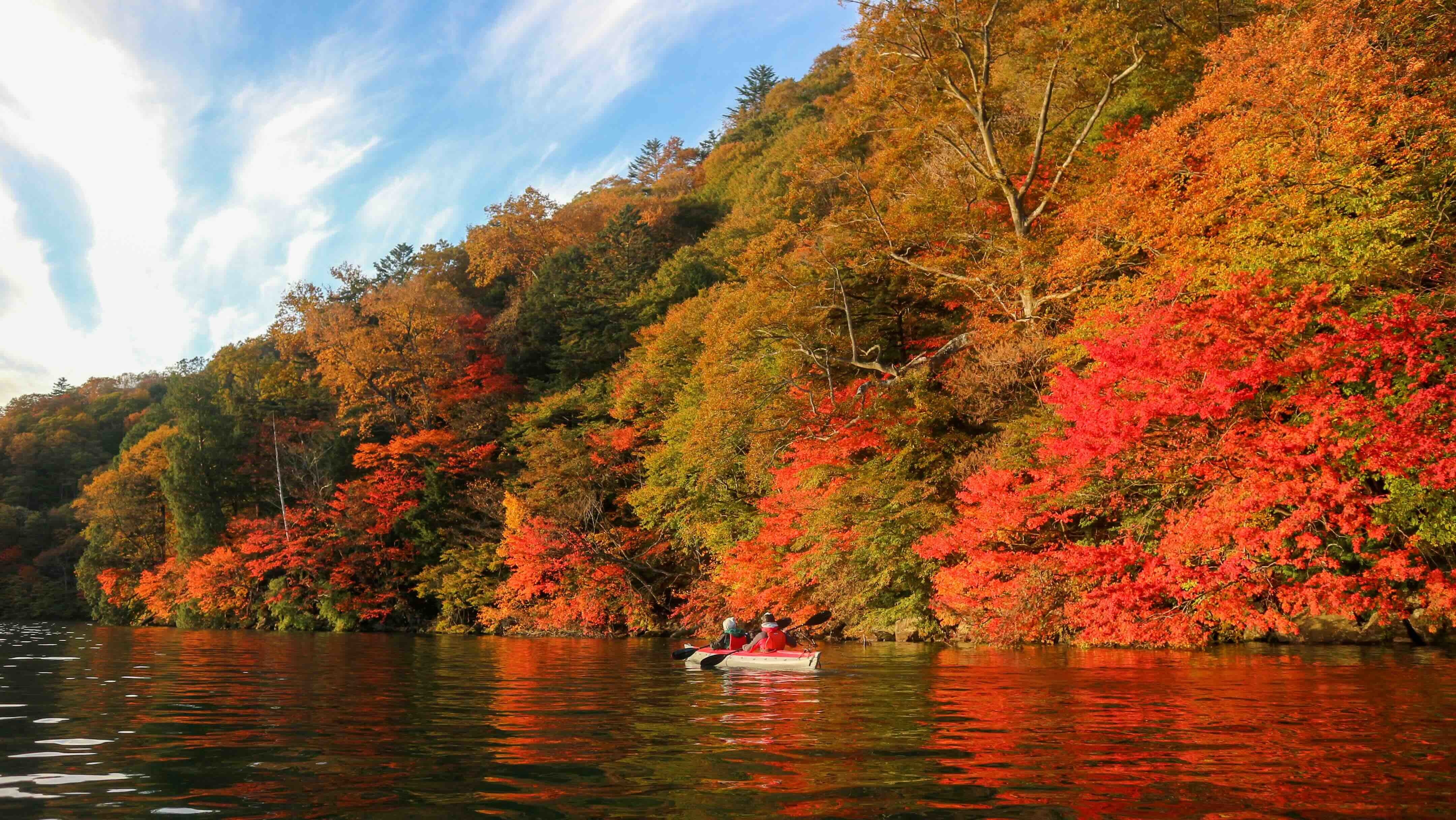 湖上から観る「奥日光紅葉満喫宿泊プラン」と
「和香水づくり体験＆法人限定プラン」の予約受付を開始！