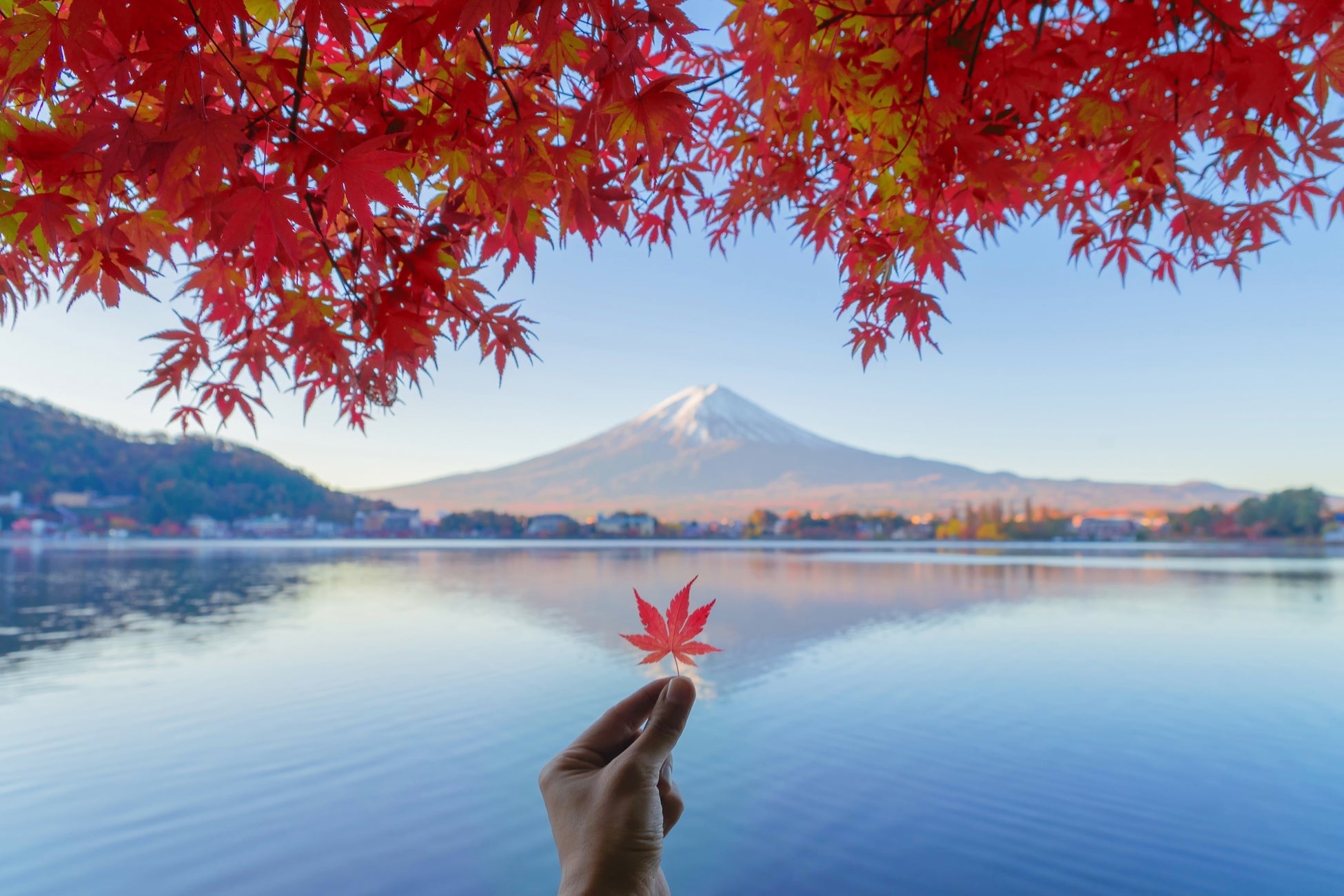 紅葉狩りを親子で楽しもう！秋の登山レンタル特別割引キャンペーン開催