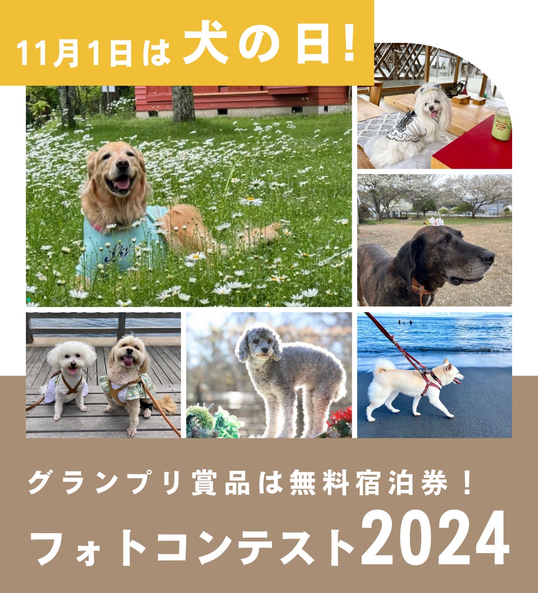 銀座のホテルバーで楽しむ日本茶デザート「抹茶とラフランスのパフェ」販売開始！