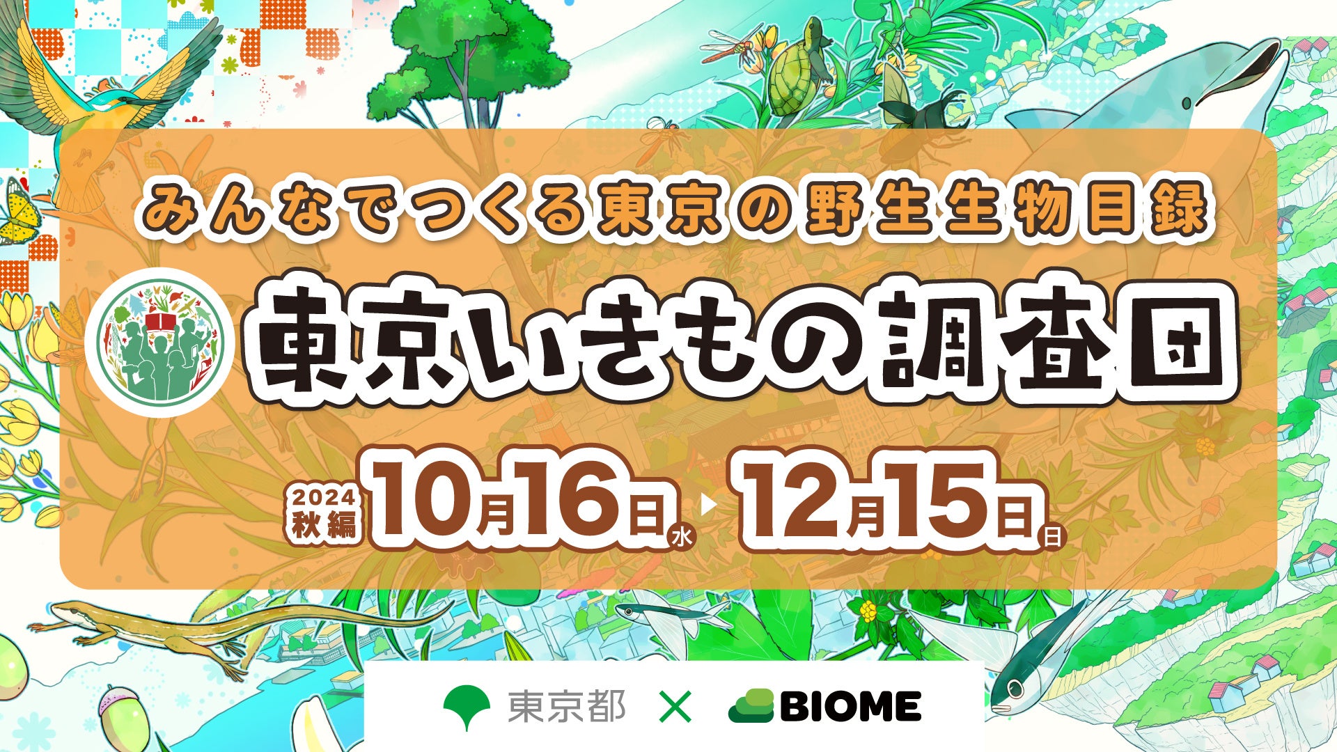 【THEフィッシング】８０cmオーバーのランカー登場！ 熊本シーバスゲーム／10月19日(土)放送