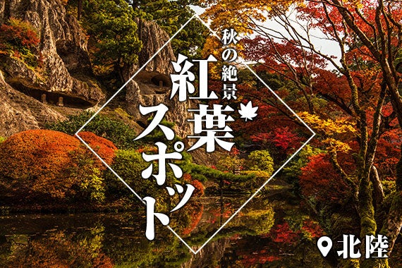 「防災フェスin舎人公園」10/26(土)開催　～防災クエストを通して防災知識を身につけよう～