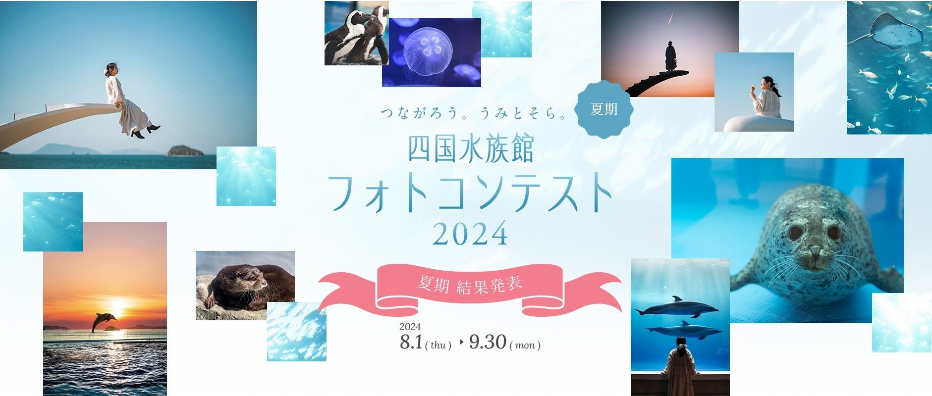 『つながろう。うみとそら。 四国水族館フォトコンテスト2024』 夏会期授賞作品を決定！