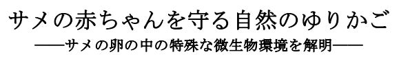 日本フレスコボール協会公認「FRESCOBALL ALPS」（長野県駒ヶ根市）が、11月10日(日)に宮田村総合公園ふれあい広場にて無料体験会を実施。日本代表 五十嵐恭雄選手の来場が決定。