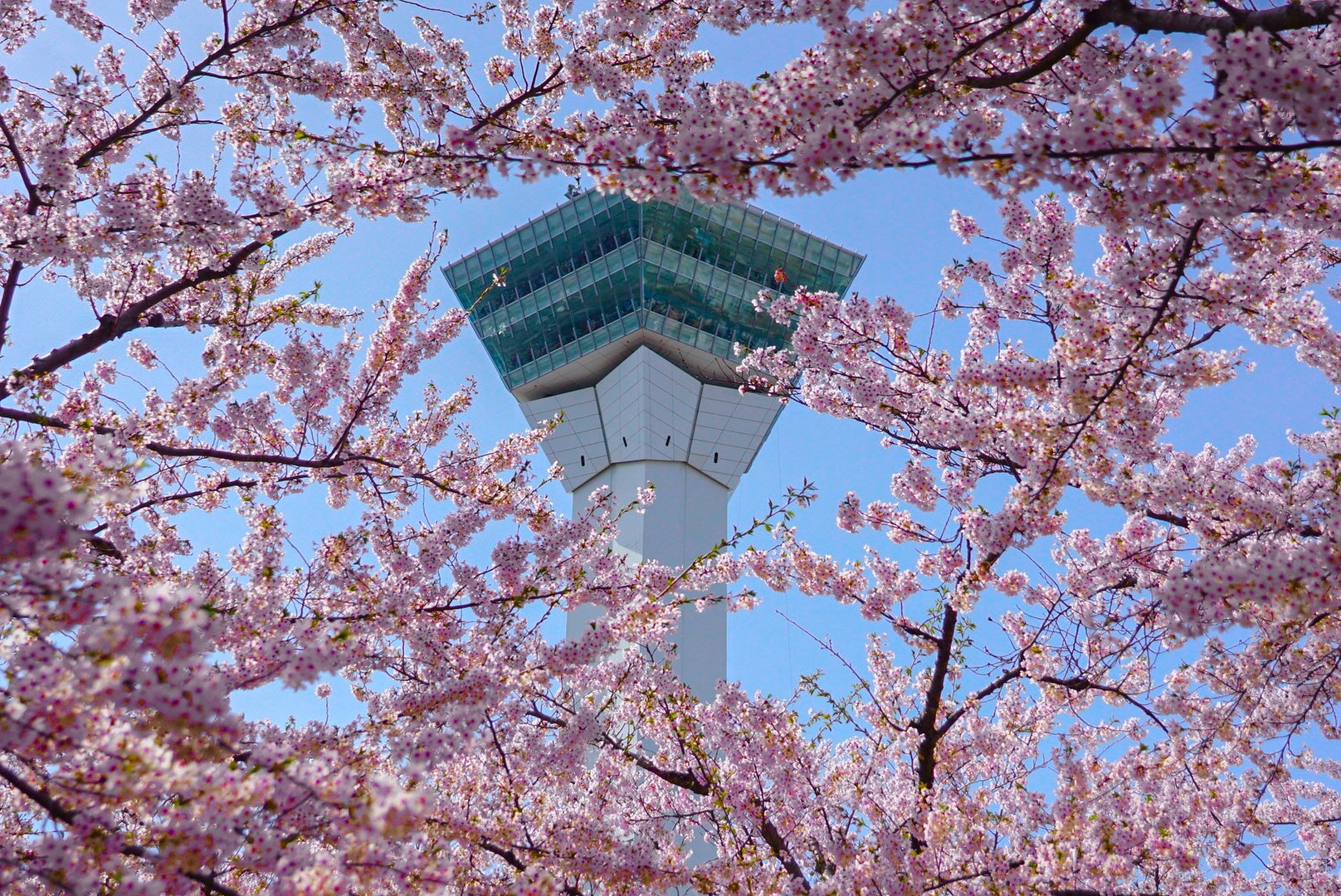 【和歌山市】和歌山城公園ライトアップ「和歌山城～光の回廊～」＆和歌山城初の400機のドローンによるドローンショー等点灯記念イベントを開催します！