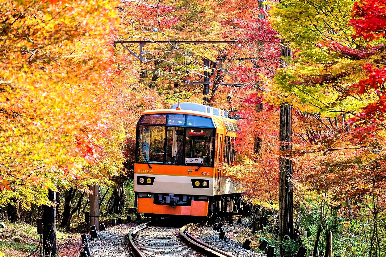 京都・叡山電車沿線のスイーツやカフェが楽しめる引換券付き！