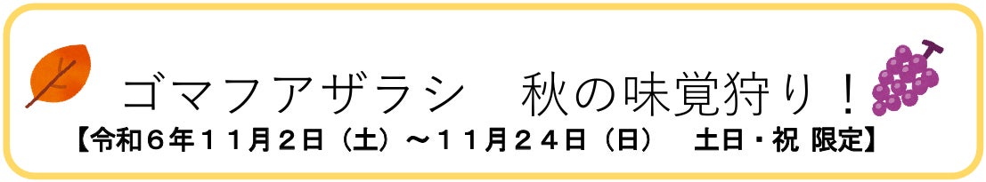 【上越市立水族博物館】ゴマフアザラシ　秋の味覚狩り！【令和６年１１月２日（土）～１１月２４日（日）　土日・祝 限定】