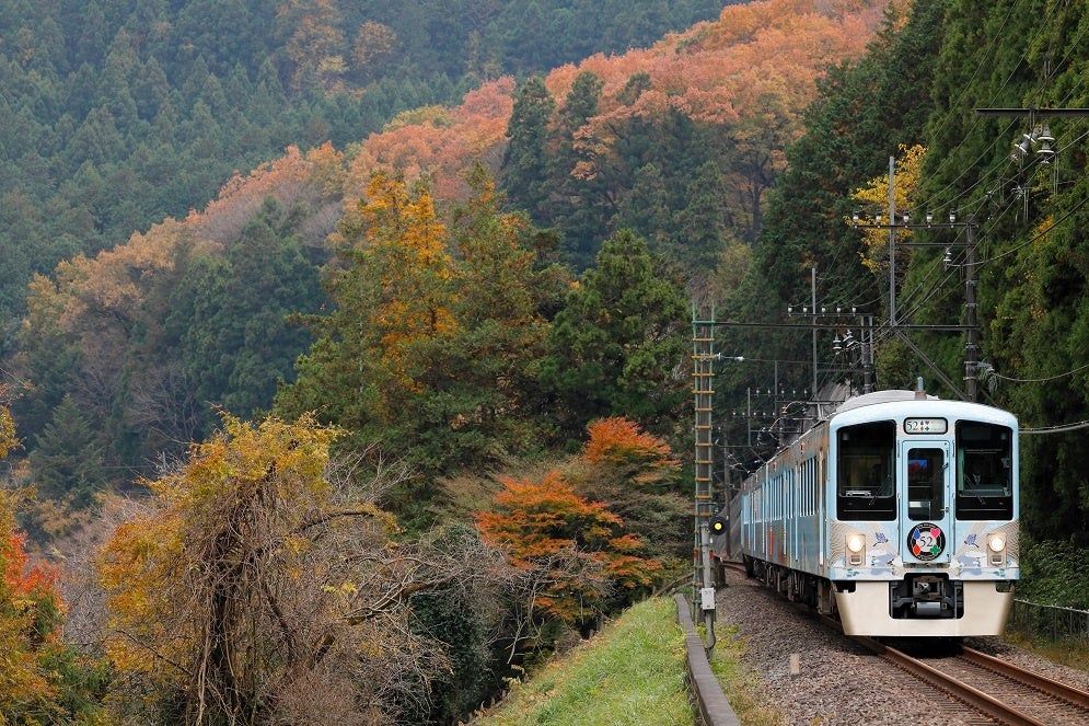 絶景の雲海＆星空鑑賞を目指す！『５２席の至福』車両で行く 秩父絶景ツアー開催！