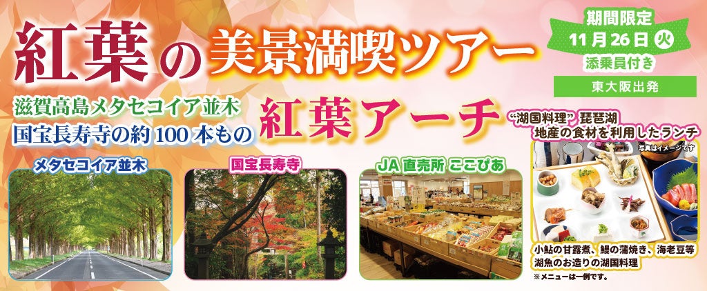 催行確定に付き10席増席！！11月26日(火) 紅葉の美景満喫ツアー滋賀高島メタセコイア並木国宝長寿寺の約100本もの紅葉アーチ。〈添乗員付き〉日帰りツアーお一人様10,800円！