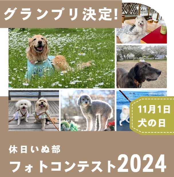 【11月1日は犬の日】休日いぬ部フォトコンテスト結果発表