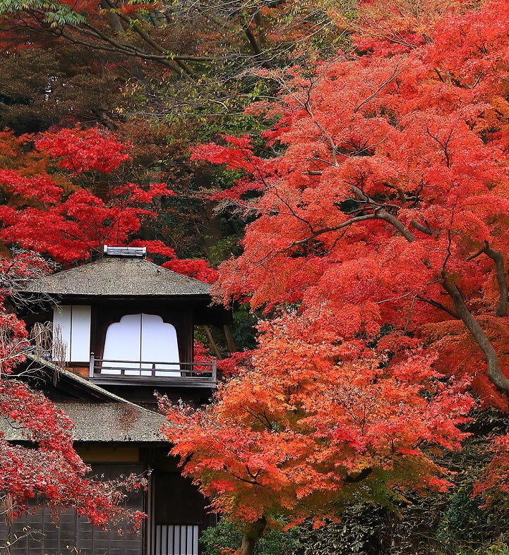 【京都で過ごす二人のクリスマス】HOTEL VMG RESORT KYOTO　 プライベート空間で愉しむ、グラスシャンパン付クリスマスディナー＆宿泊プランを販売　‐12月24日(火)25日(水)限定‐