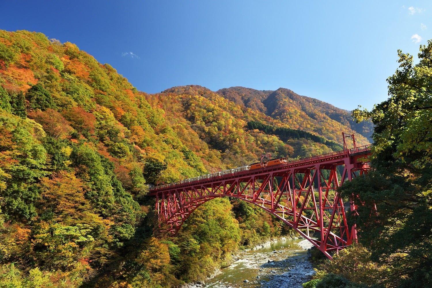 黒部峡谷（トロッコ電車沿線）の紅葉見頃について