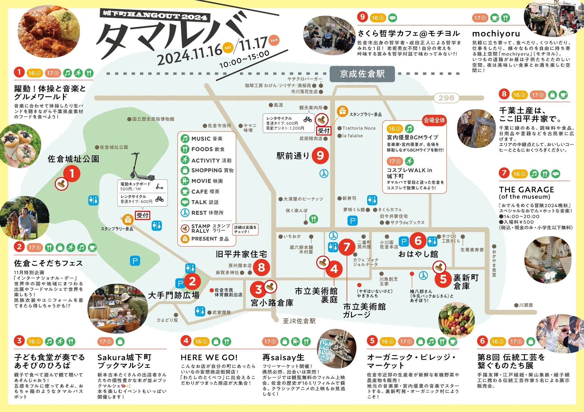 樹齢千年のオリーヴ大樹の果実を収穫