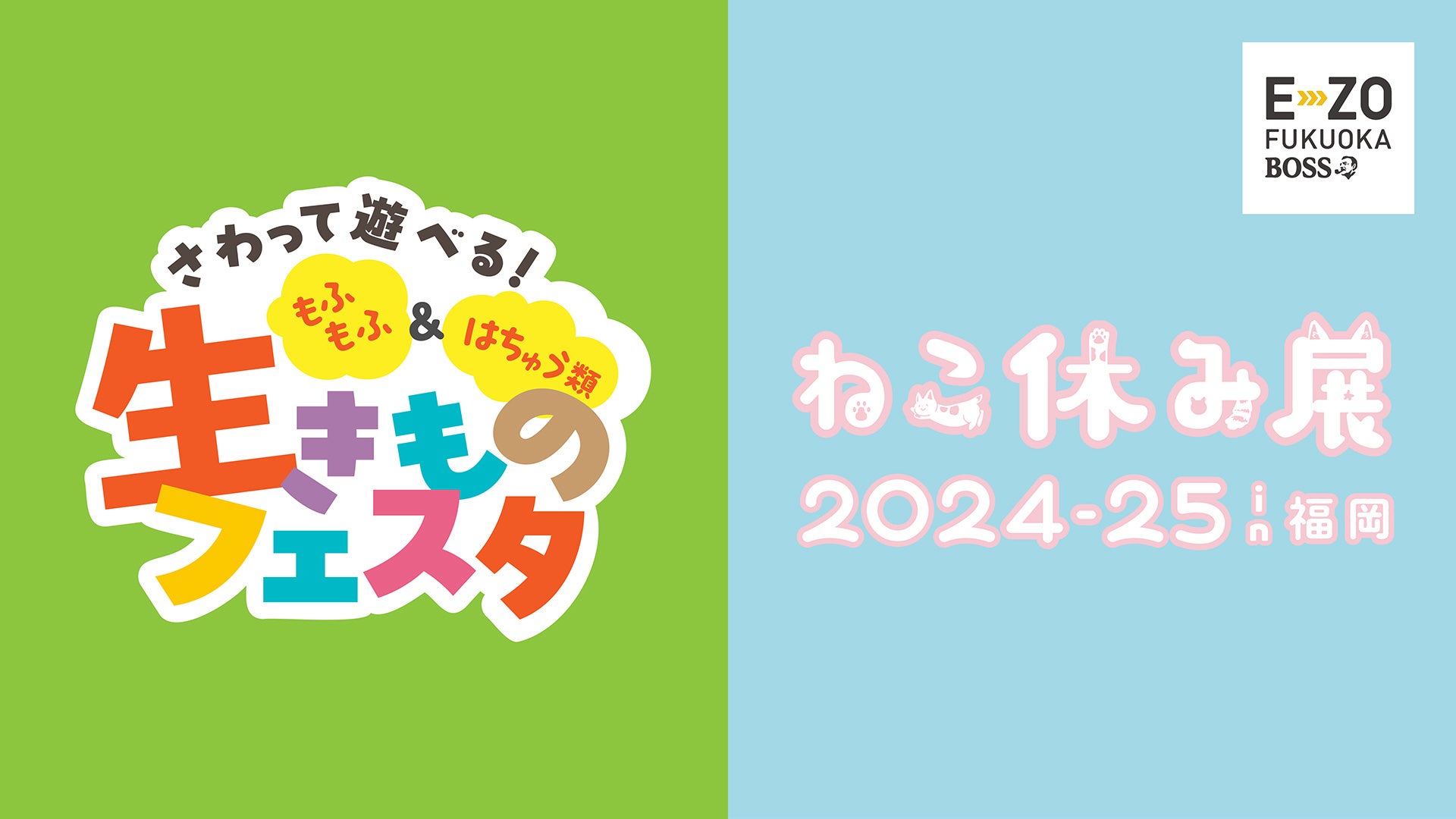 冬休みはE・ZOでもふもふ＆はちゅう類＆ねこ！「生きものフェスタ」＆「ねこ休み展 in福岡」開催決定！