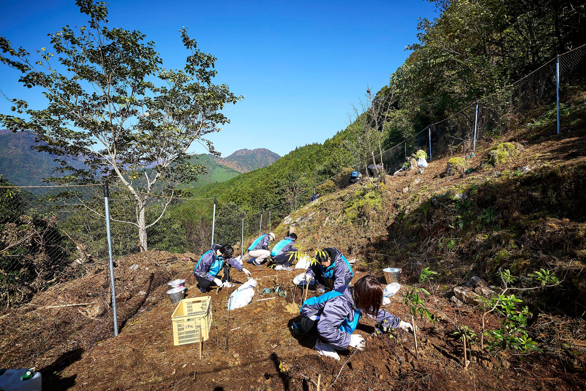 リゾートトラスト、会員様と共に作る「ありがとうの森」 三重県大台町で植樹活動　自然豊かな地域とリゾートの共存を目指す