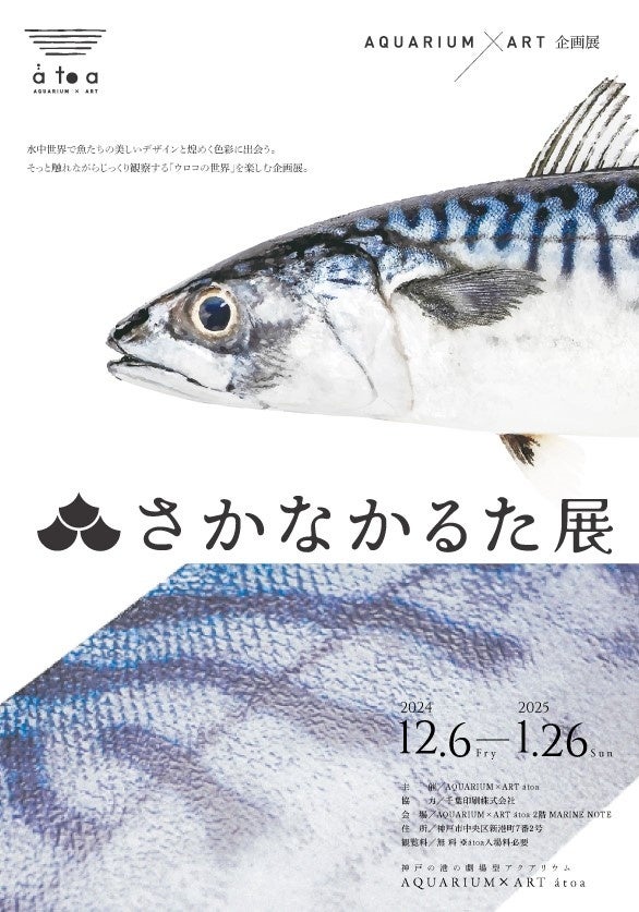 コラボ企画展【 átoa × さかなかるた 】ウロコの凹凸まで特殊な印刷で再現した『さかなかるた』６０種を拡大展示