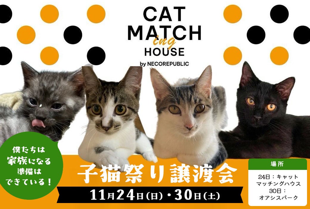 岐阜市・各務原市にて保護猫譲渡会開催！保護猫とマッチングできる施設「キャットマッチングハウス」・川島ハイウェイオアシス「オアシスパーク」にかわいい子猫たちが大集合！