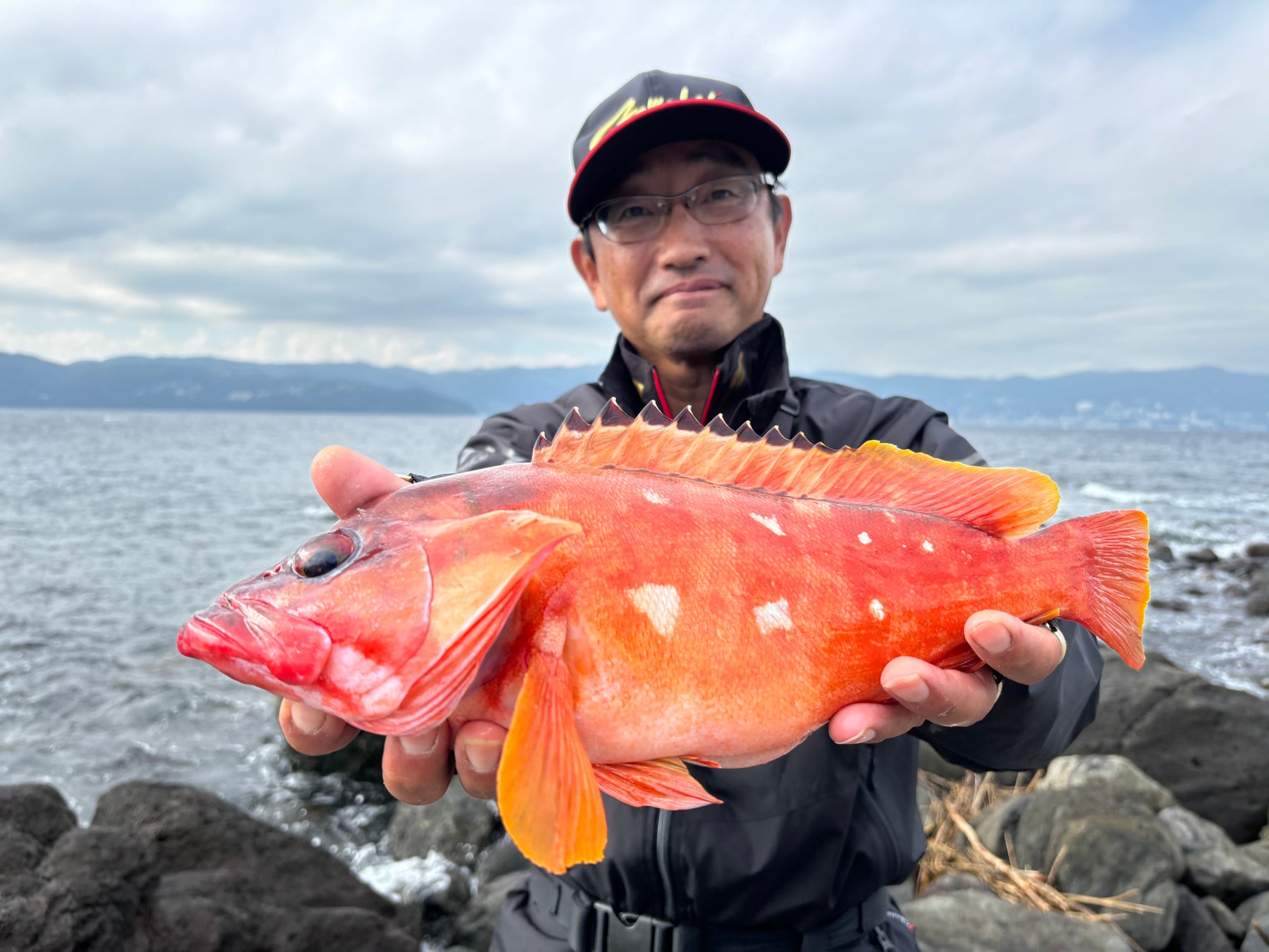 ペンギンが膝の上を歩く!? ゼロ距離で学ぶ特別授業が再び開講！