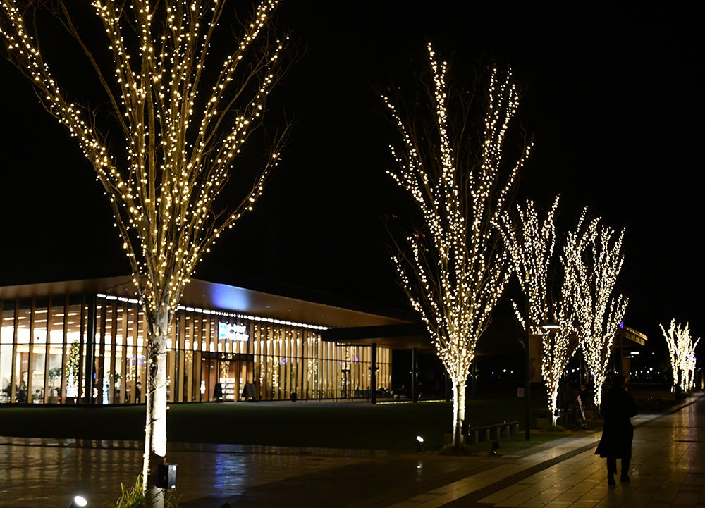 高槻市の安満遺跡公園が３万球のLEDを使ったイルミネーションに彩られる