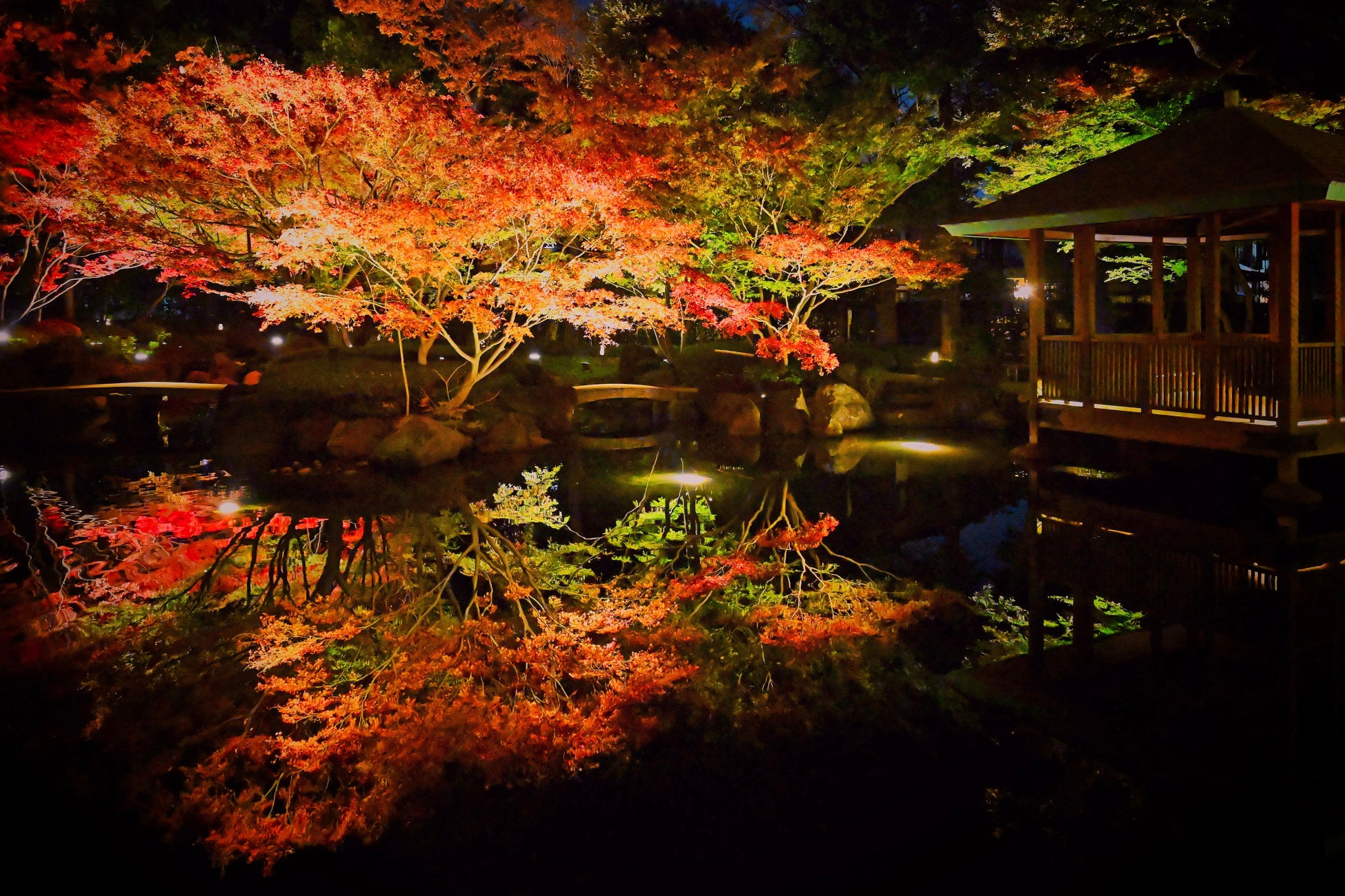 大田黒公園紅葉ライトアップ開催