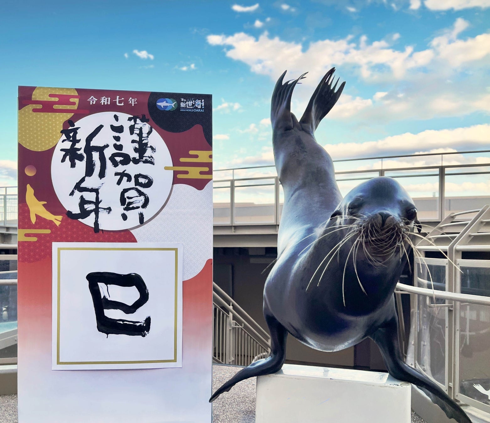 【アクアワールド茨城県大洗水族館】水族館の人気者アシカが新しい年の幕開けに花を添える“アシカのお年賀フォトタイム” 開催