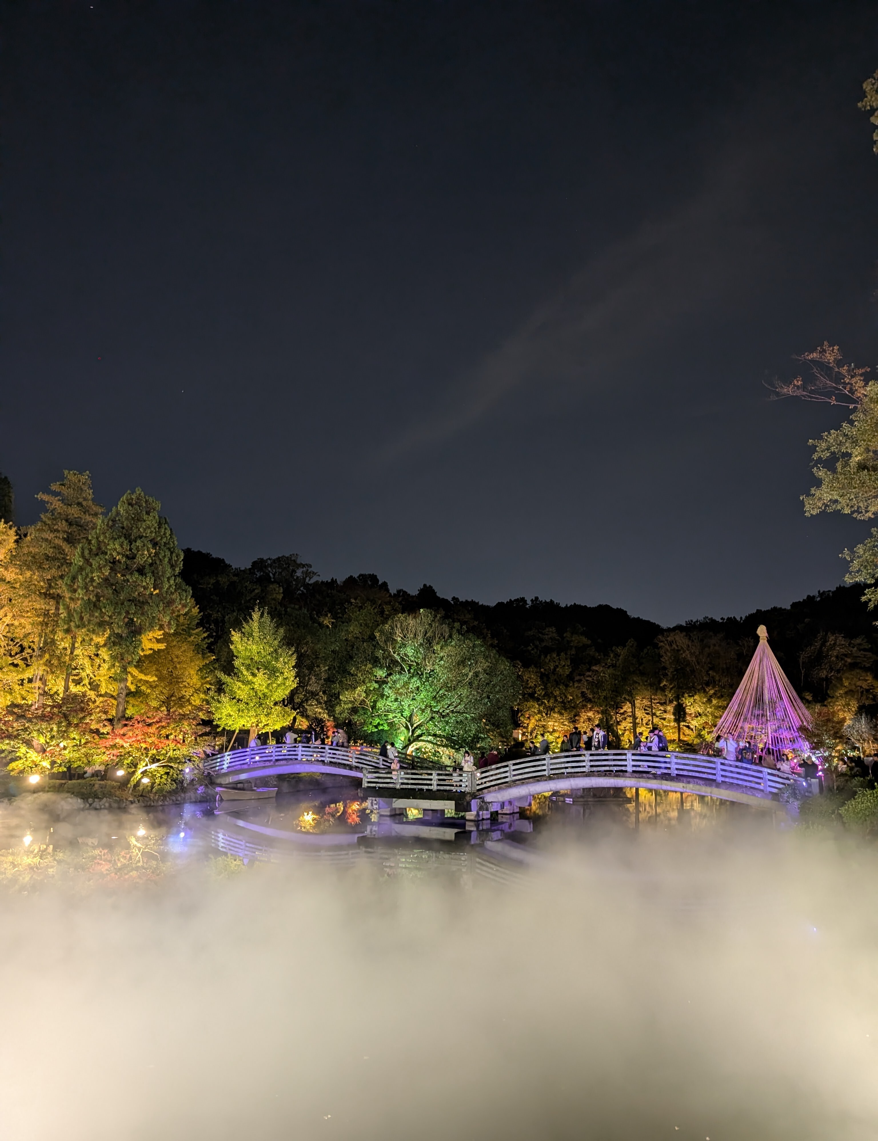 めざせ“天空の城 野津田”
11月30日(土)雲に浮かぶたいこ橋が一夜限りブルーに染まる！
～薬師池　紅葉ライトアップ　薬師雲海～