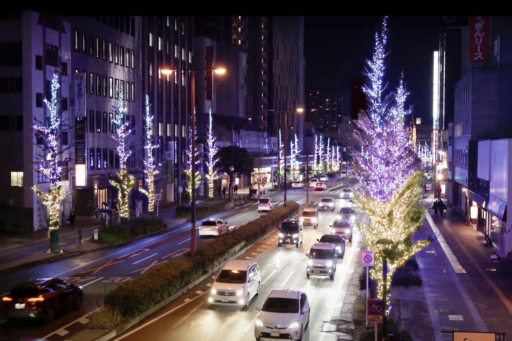 ハイアット セントリック 銀座 東京 老舗画材店「月光荘」と初のコラボレーション！銀座の夜に輝く、和と洋が織りなす温かな光り「友を呼ぶクリスマスツリー」