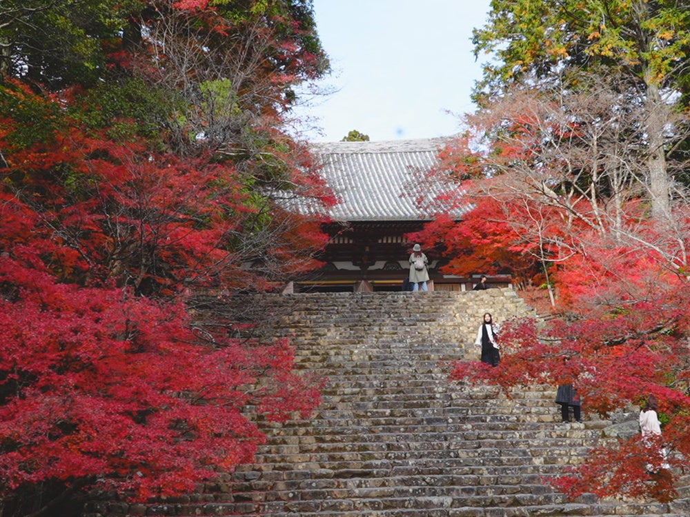 紅葉の絶景と歴史を楽しむ、神護寺の魅力をご紹介