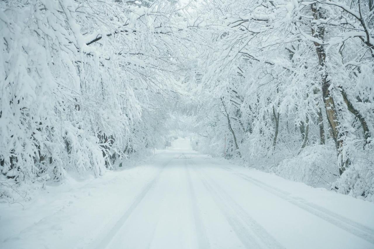 ブッキング・ドットコムが提案する、冬を楽しむ旅行！雪で遊べる人気エリアや穴場スポットをご提案