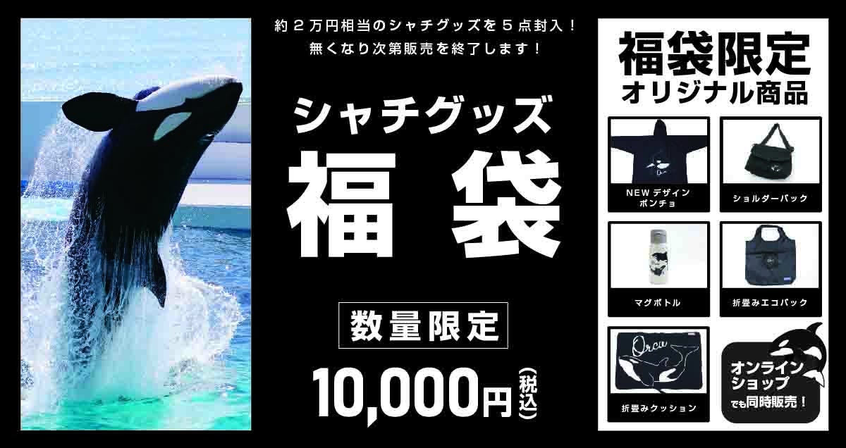 鴨川シーワールド】鴨川シーワールドのシャチグッズ福袋が登場！2024年12月12日（木）『シャチグッズ福袋』販売開始！ | トラベルスポット