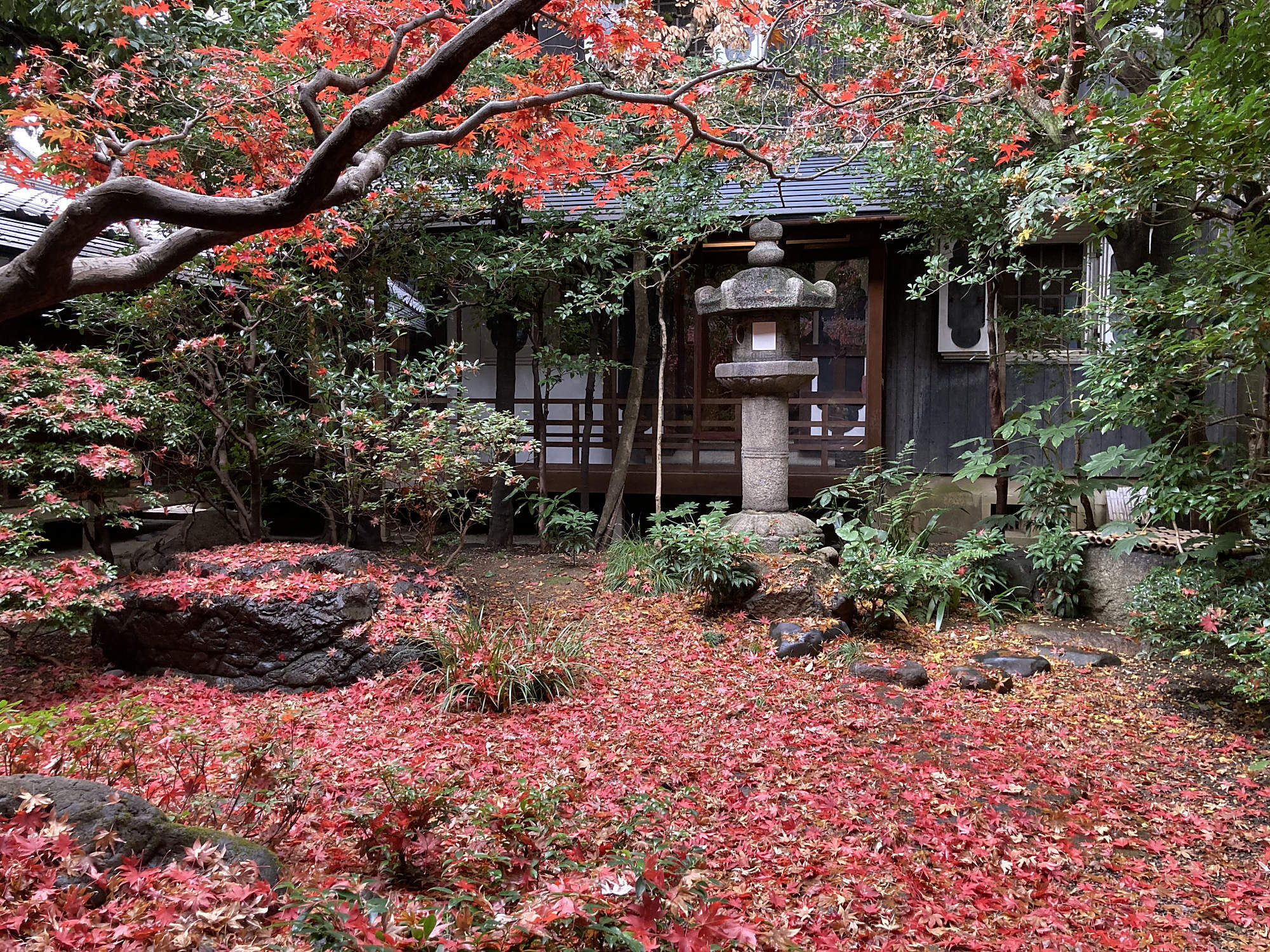 休暇村乗鞍高原×リトルピークス　厳冬の時期限定！冬ならではの絶景・氷瀑の「善五郎の滝」を目指す スノーシュー体験付宿泊プランを1月8日より販売