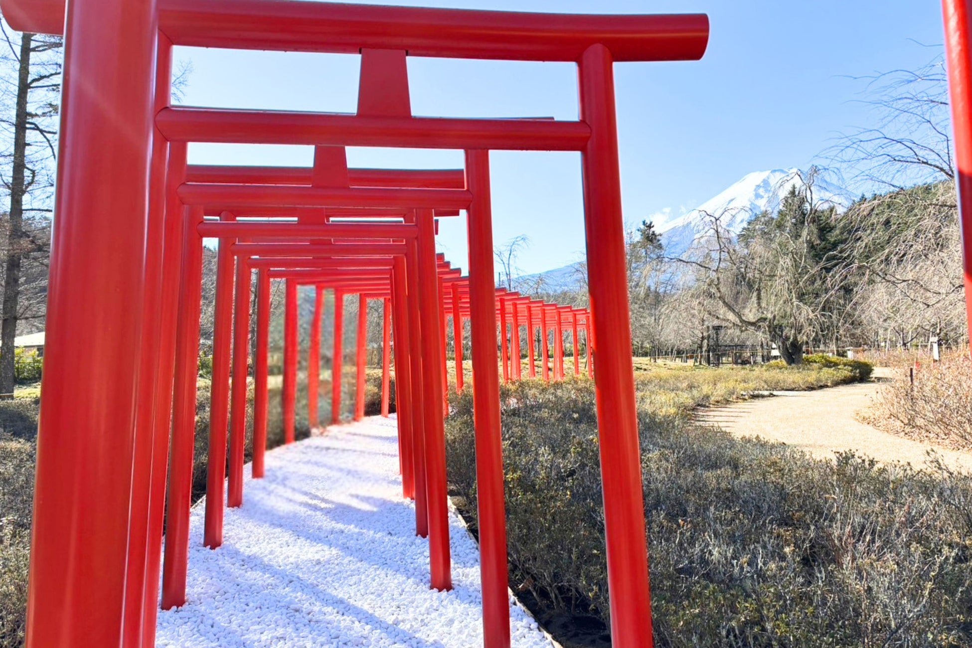 インバウンドに大人気の観光スポット、富士山「忍野」に日本の魅力を集約した “絶景フォトスポット”「絶景千本鳥居」 12/13(金)誕生