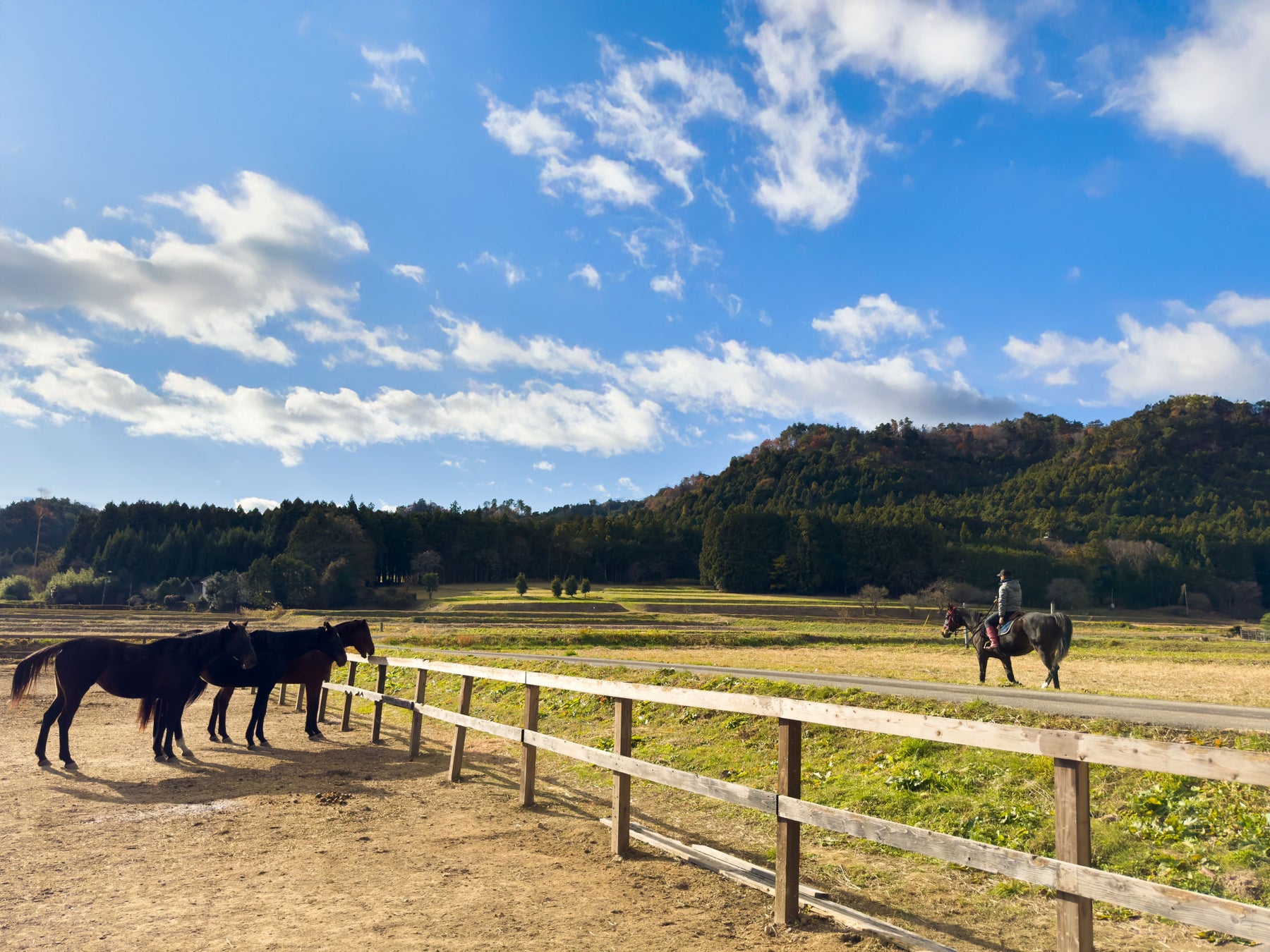 乗馬やホーストレッキングを楽しめる「ノーマ・ホースヴィレッジ」、福島県浪江町にオープン