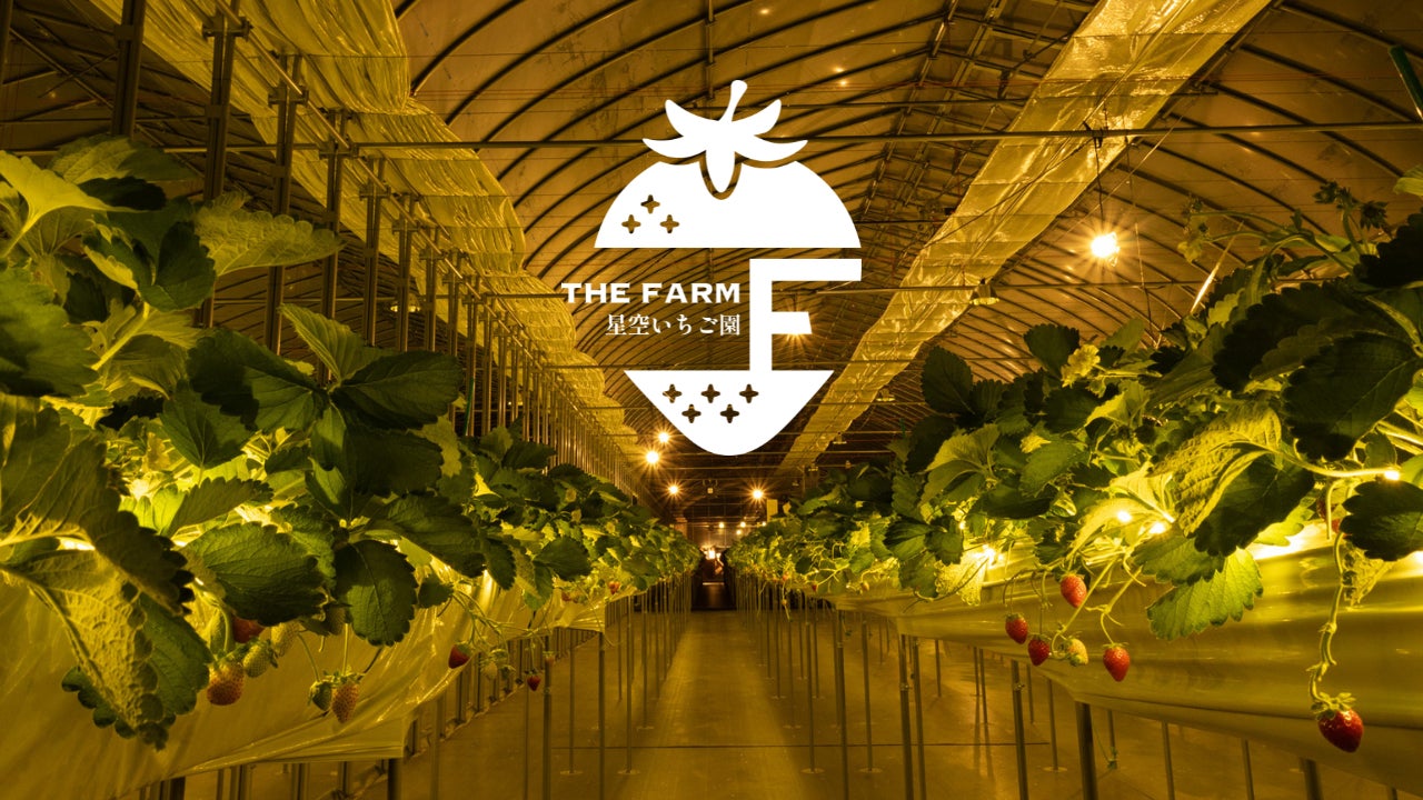 農園リゾート THE FARM より“ナイトいちご狩り”が楽しめる「THE FARM 星空いちご園」が12月20日（金）GRAND OPEN。