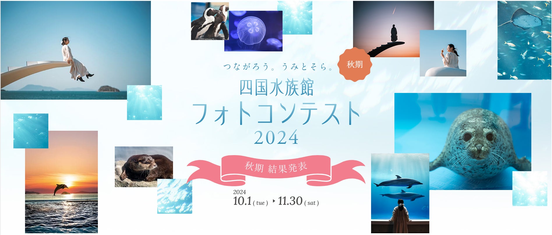 『つながろう。うみとそら。四国水族館フォトコンテスト2024』秋期　授賞作品を決定