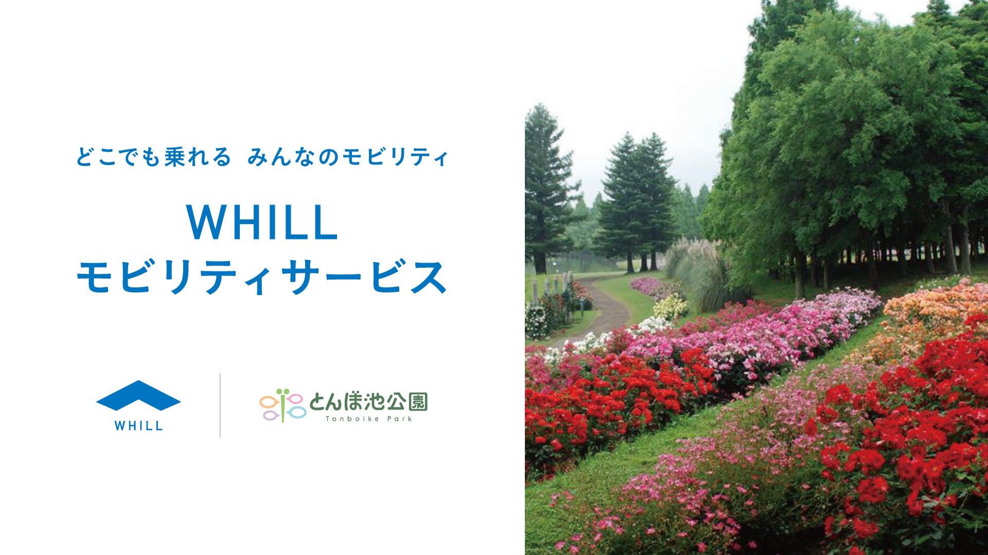 甲子園球場16個分の広さを誇る蜻蛉池公園で免許不要の近距離モビリティ「ウィル」を活用したモビリティサービス導入