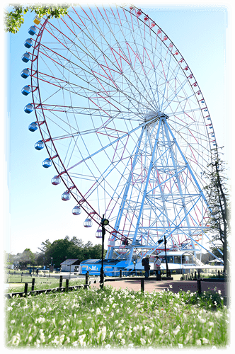 【2/8（土）・2/9（日）】約5万7千球が咲き誇る！葛西臨海公園「水仙まつり」開催