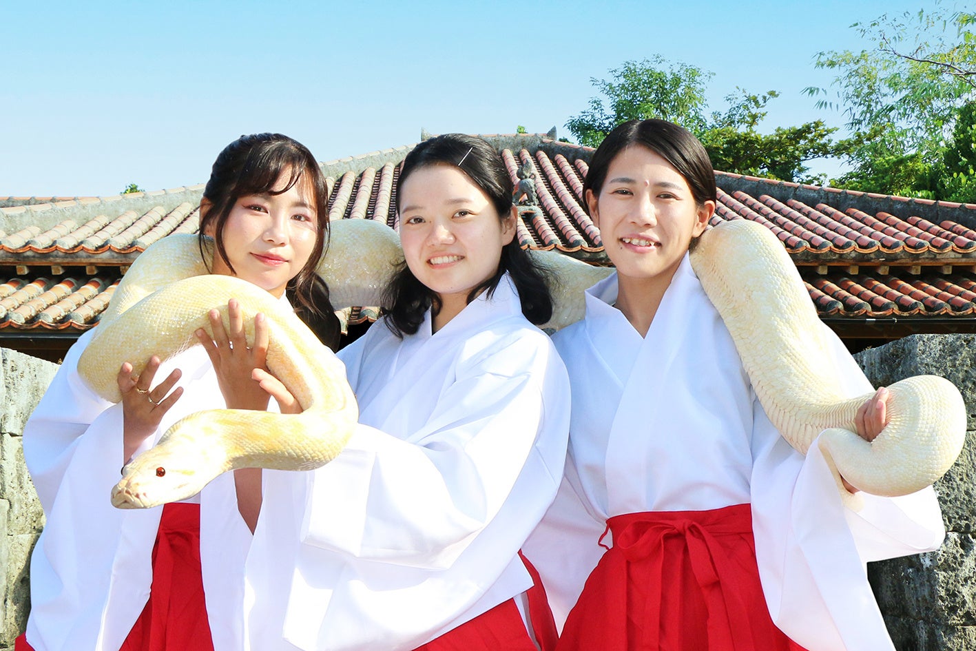 12年に一度だけ！「白へび神社」で初詣！