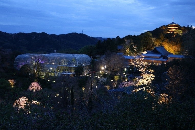 夜間貸切「高知県立牧野植物園・南園」見学ツアーを発売